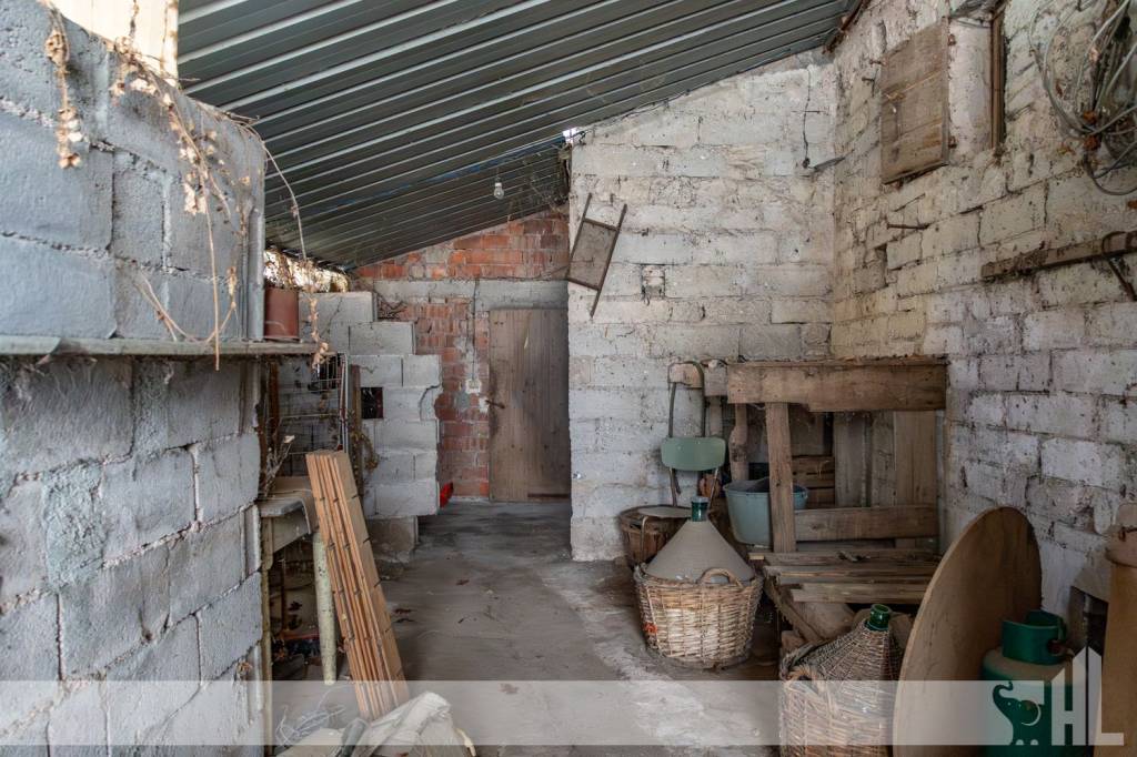 immagine annuncio 10 di 13