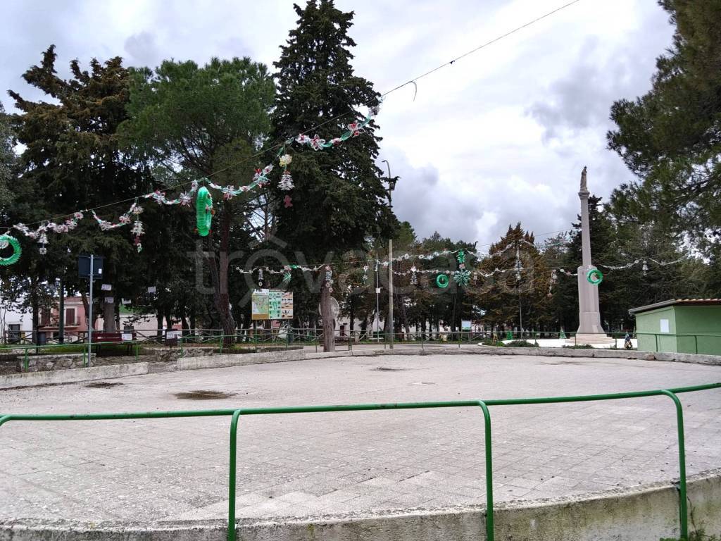 immagine annuncio 9 di 15