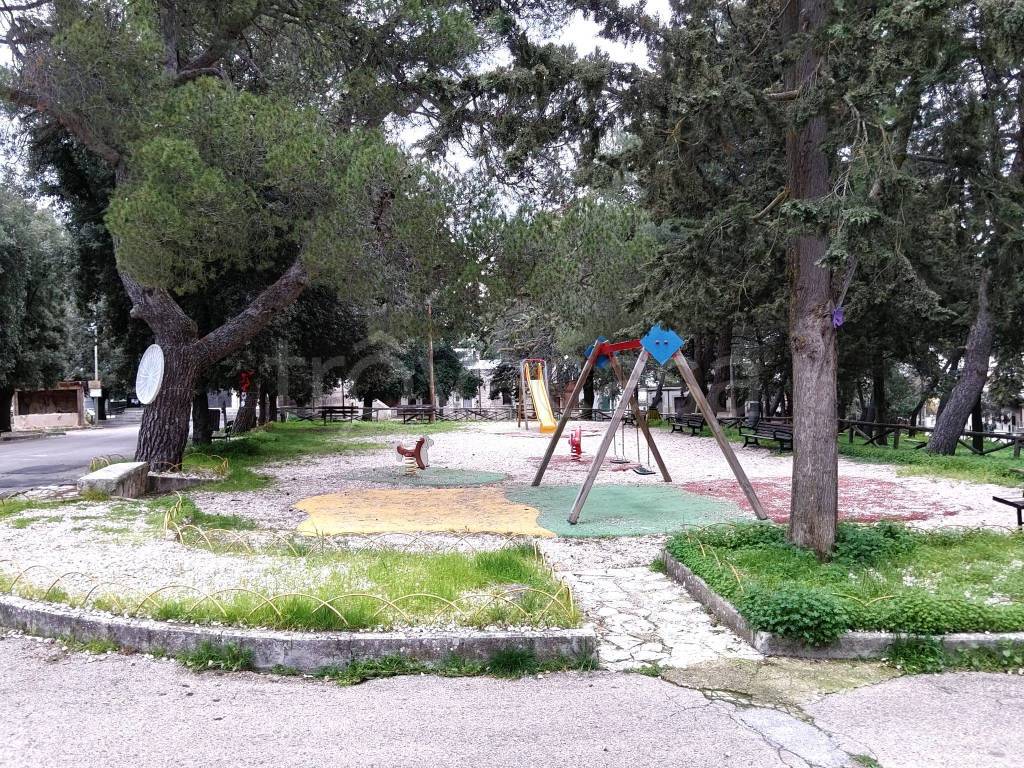 immagine annuncio 13 di 15