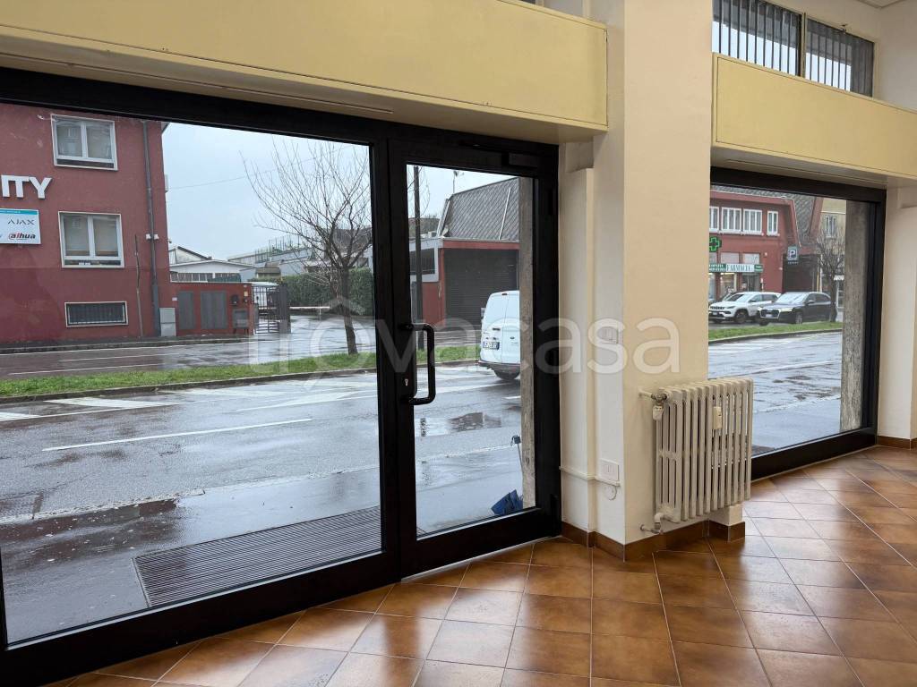 immagine annuncio 1 di 14