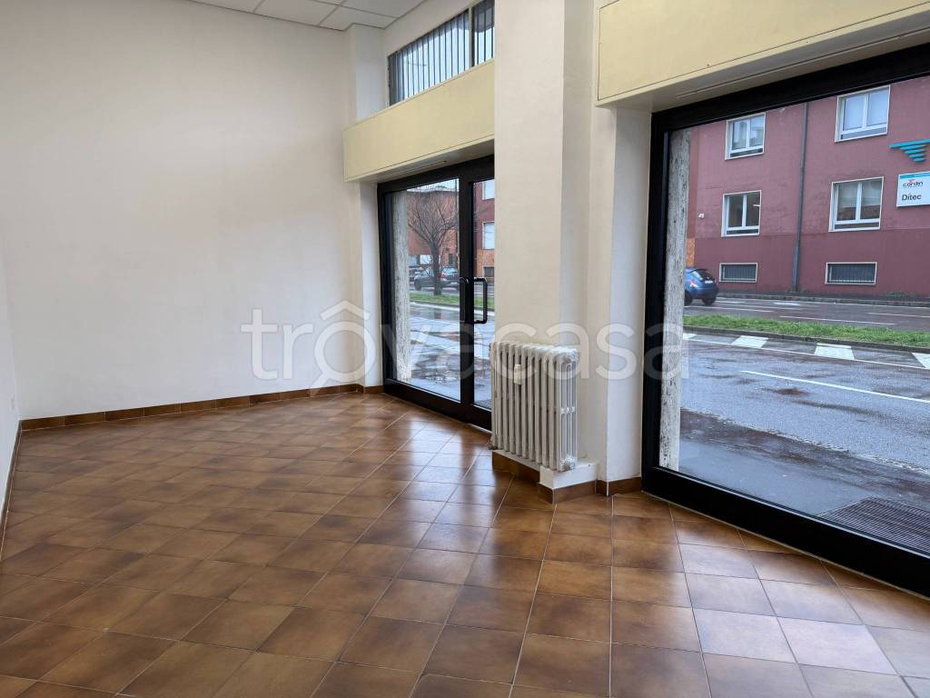 immagine annuncio 4 di 14