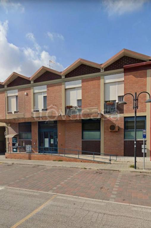 immagine annuncio 6 di 11