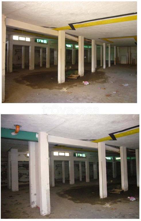 immagine annuncio 4 di 14