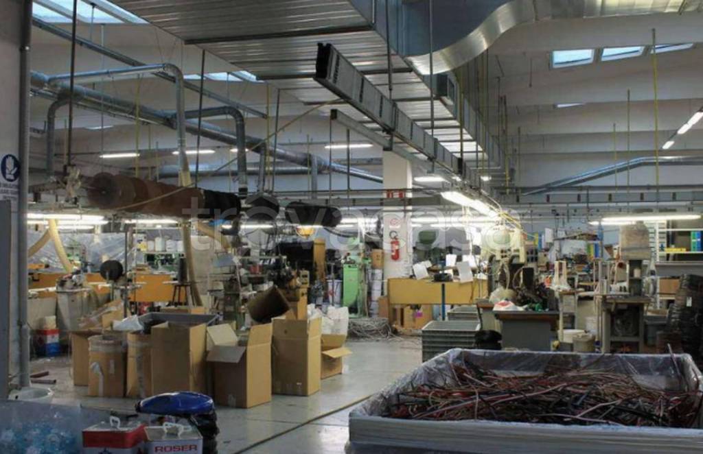 immagine annuncio 2 di 9