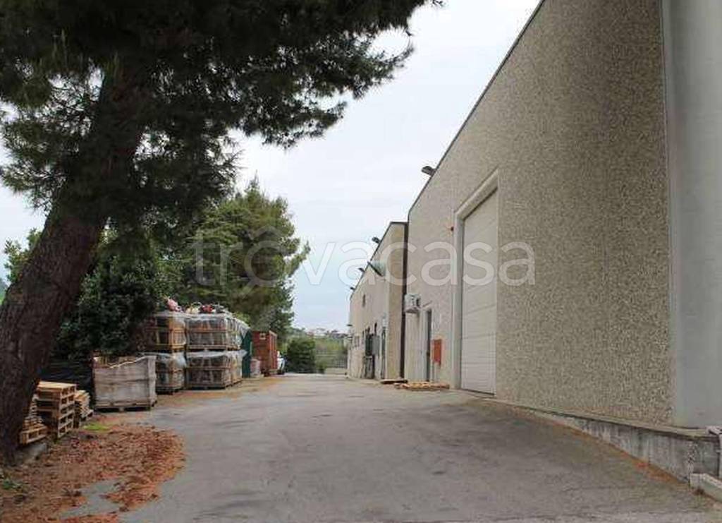 immagine annuncio 3 di 9