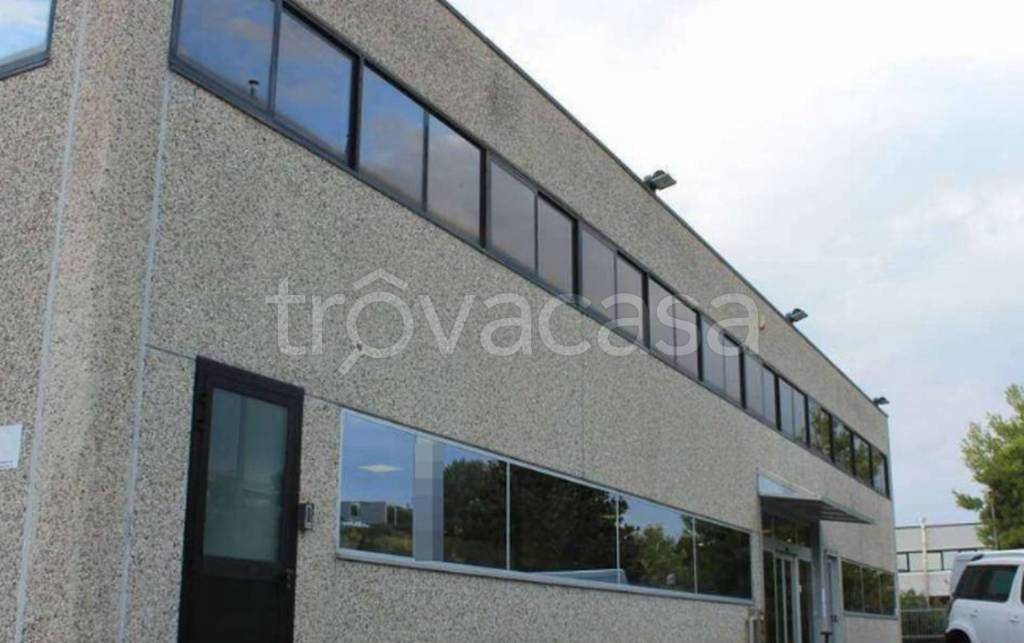 immagine annuncio 4 di 9