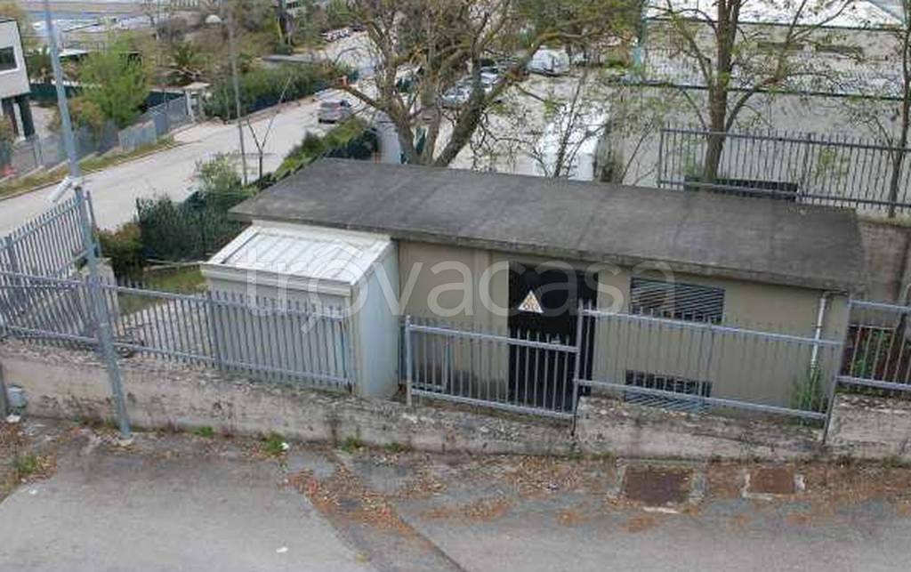 immagine annuncio 6 di 9