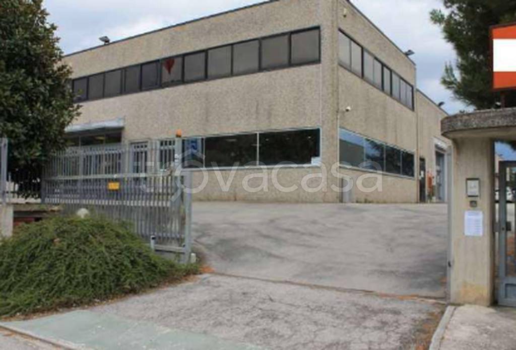 immagine annuncio 7 di 9