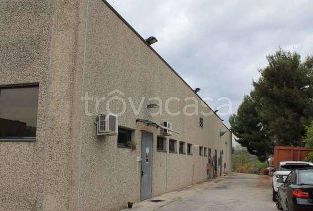 immagine annuncio 8 di 9