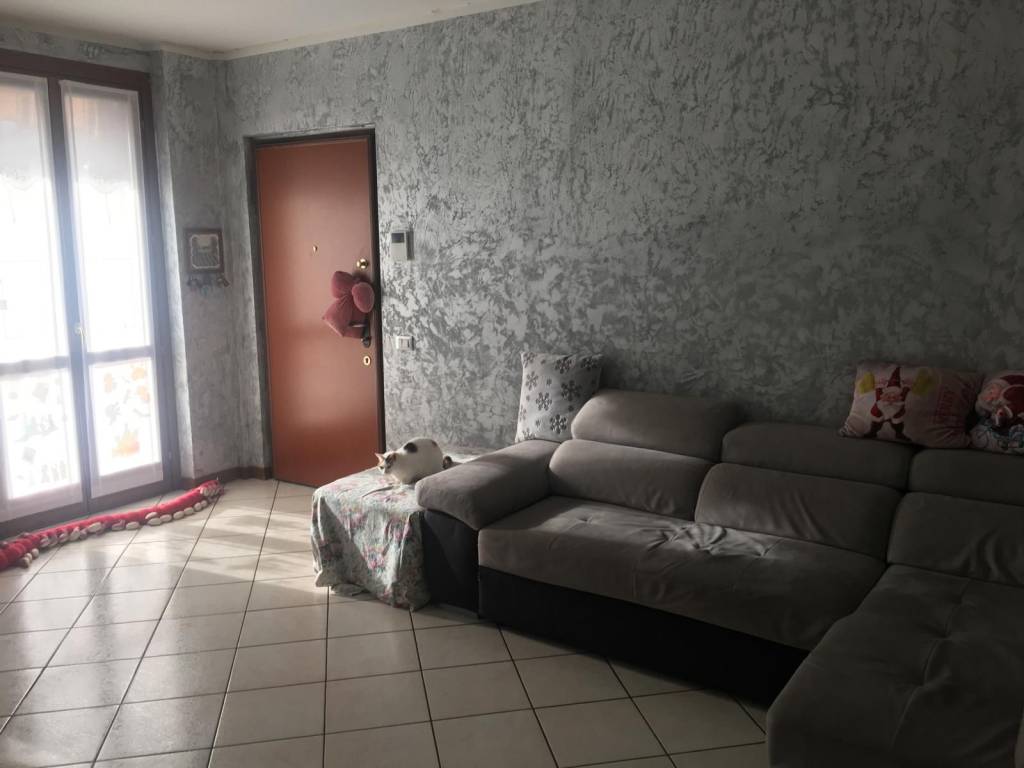 immagine annuncio 6 di 14