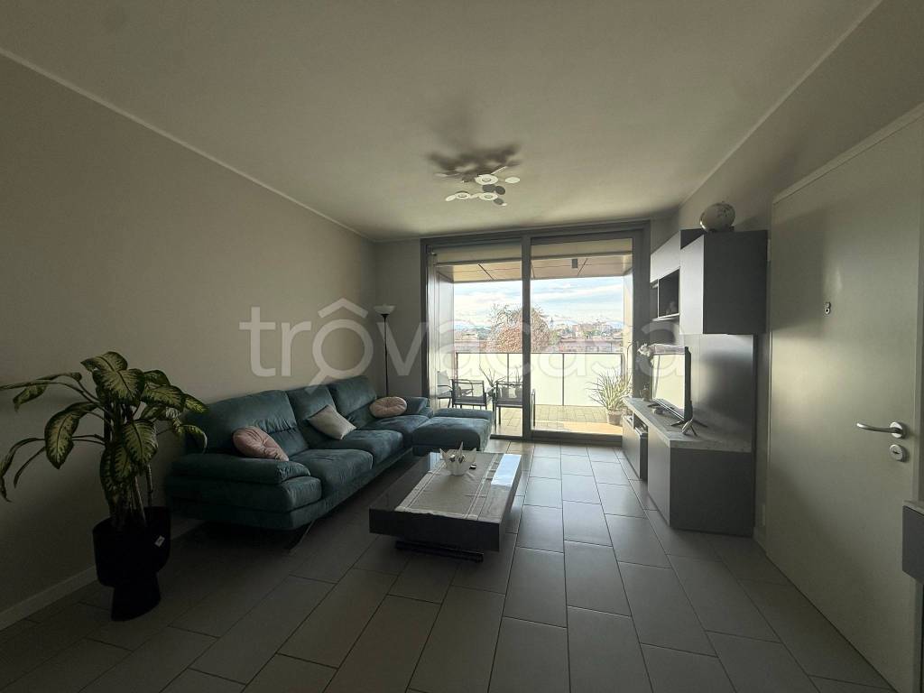 immagine annuncio 3 di 11