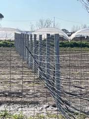 immagine annuncio 4 di 8