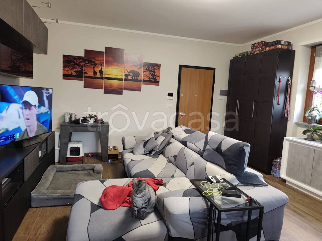 immagine annuncio 5 di 15