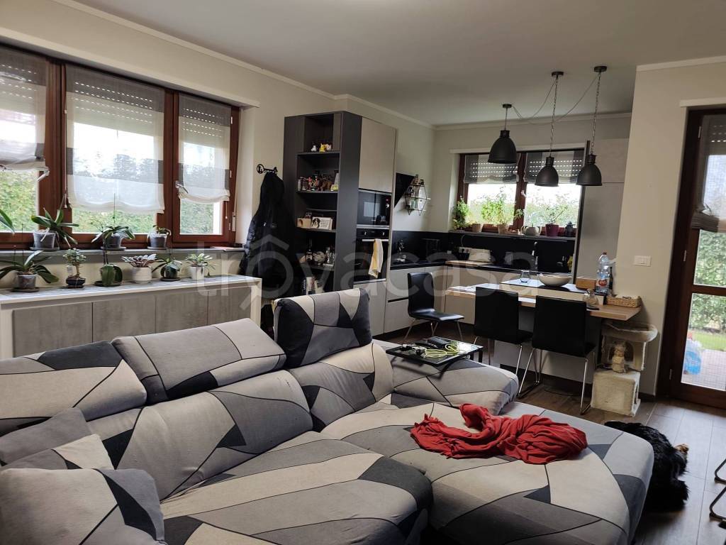 immagine annuncio 10 di 15