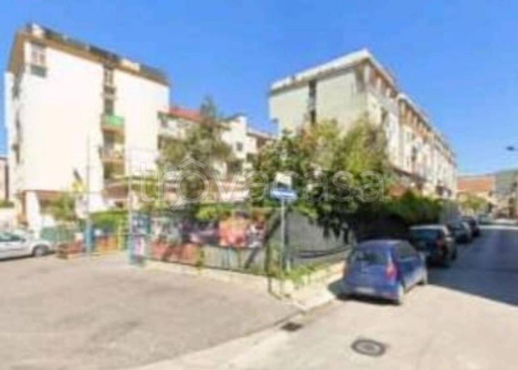 immagine annuncio 3 di 11