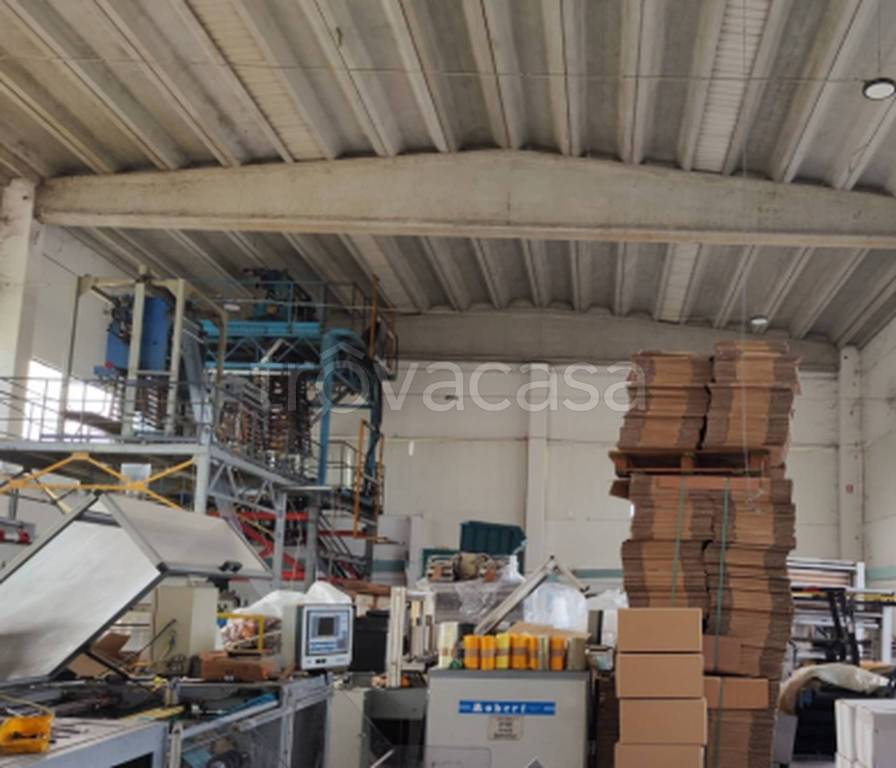 immagine annuncio 8 di 10