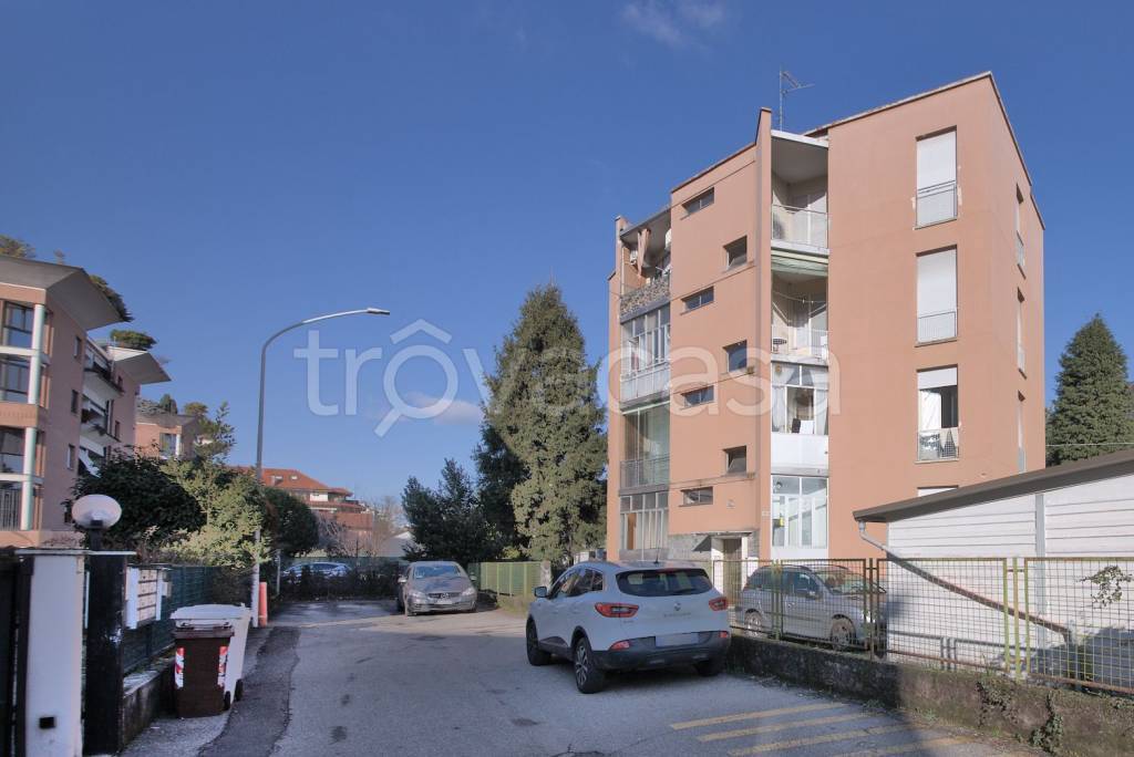 immagine annuncio 1 di 11