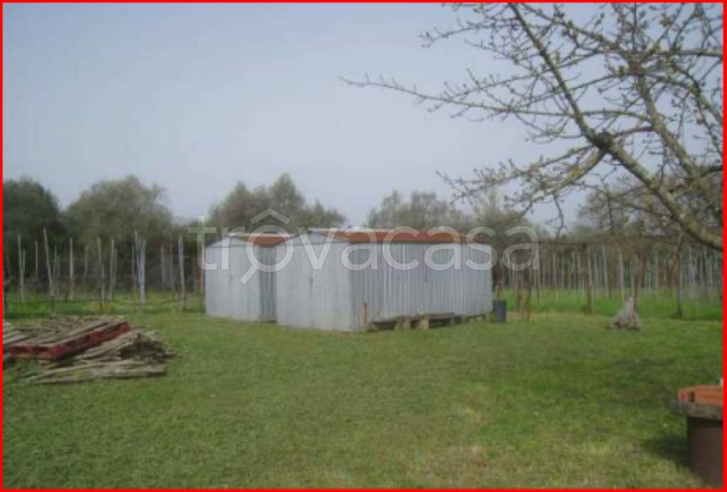 immagine annuncio 3 di 12