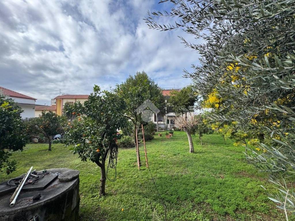 immagine annuncio 7 di 12