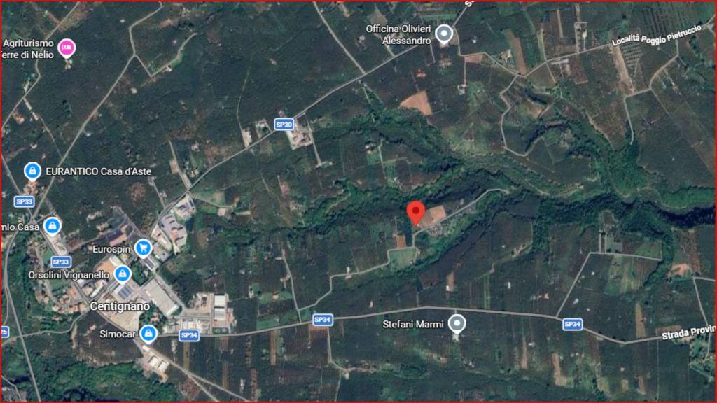 immagine annuncio 11 di 12