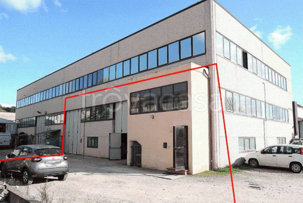 immagine annuncio 10 di 11