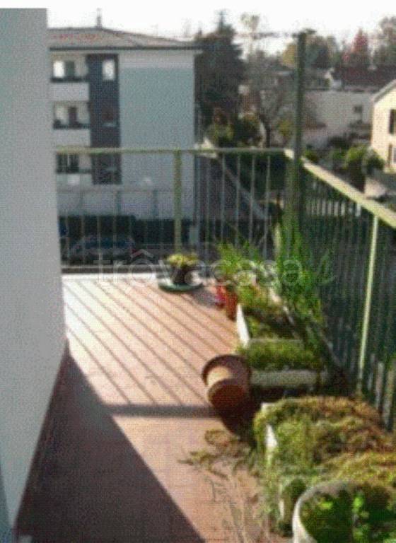 immagine annuncio 3 di 12