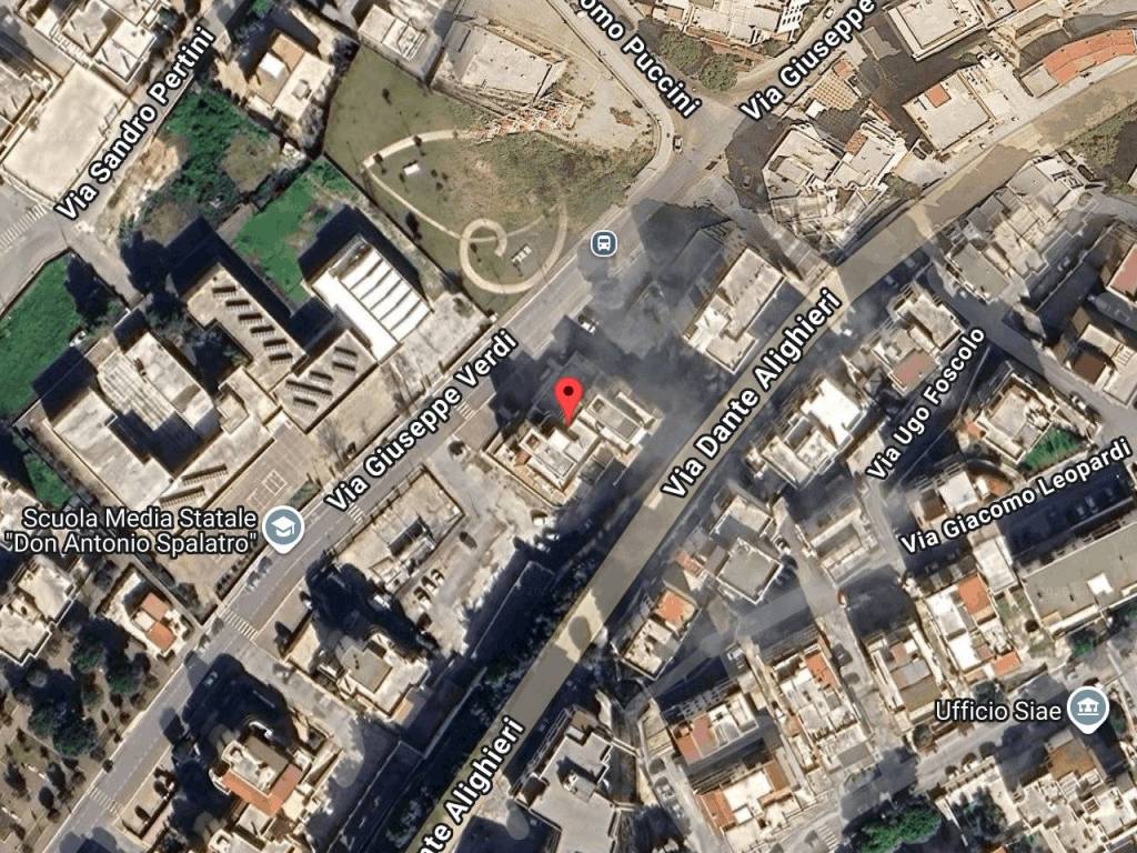 immagine annuncio 5 di 14