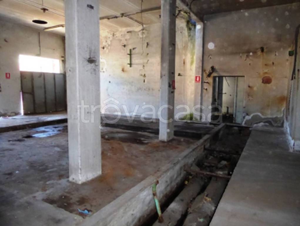 immagine annuncio 4 di 11