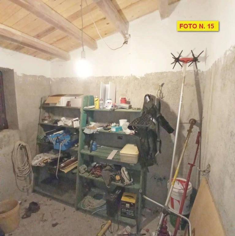 immagine annuncio 14 di 15