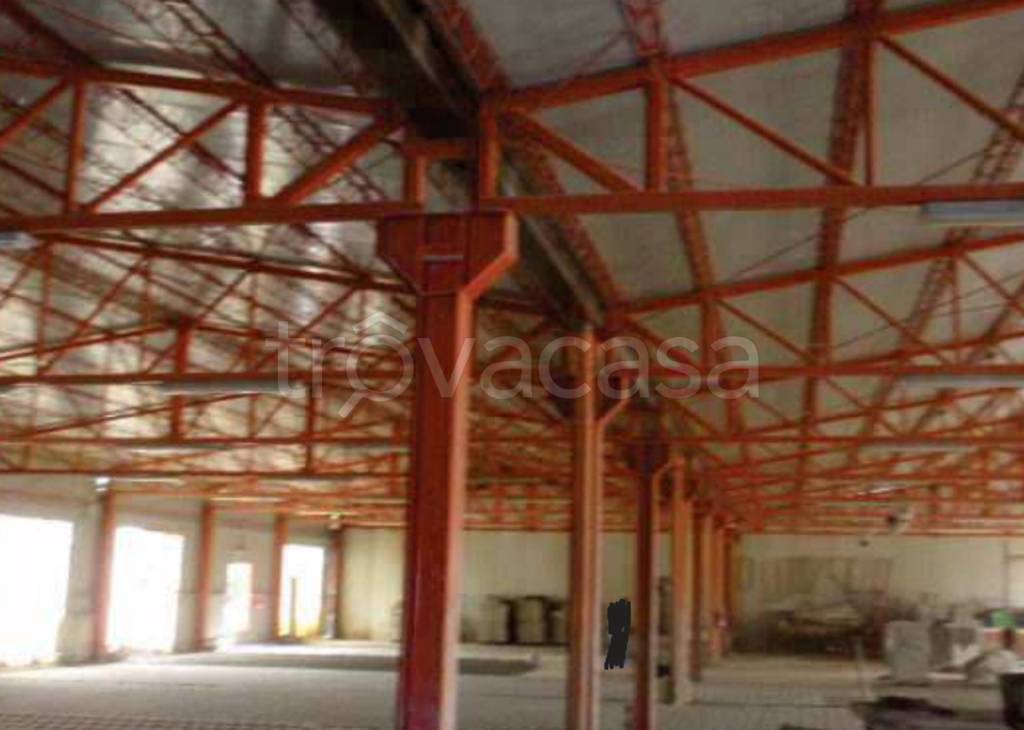 immagine annuncio 6 di 12