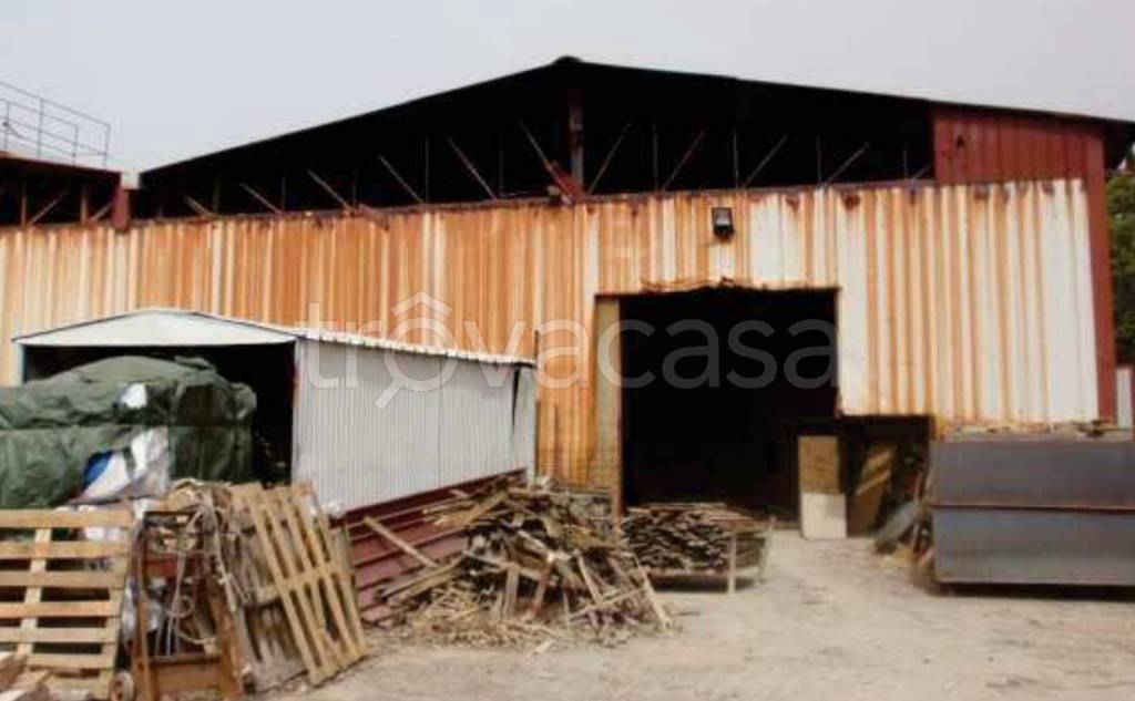 immagine annuncio 7 di 12