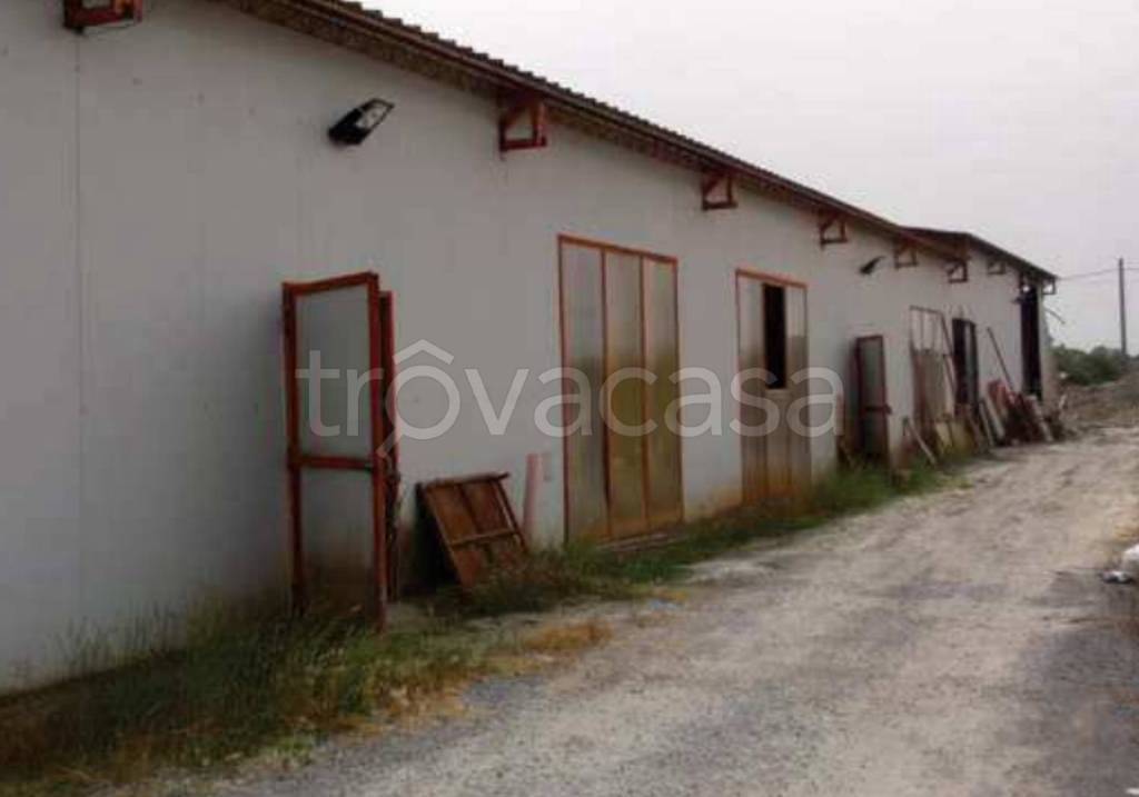 immagine annuncio 8 di 12