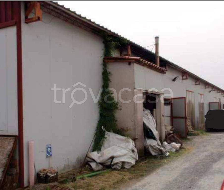 immagine annuncio 10 di 12