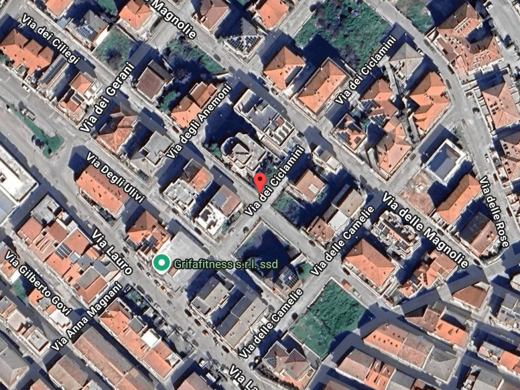 immagine annuncio 1 di 10