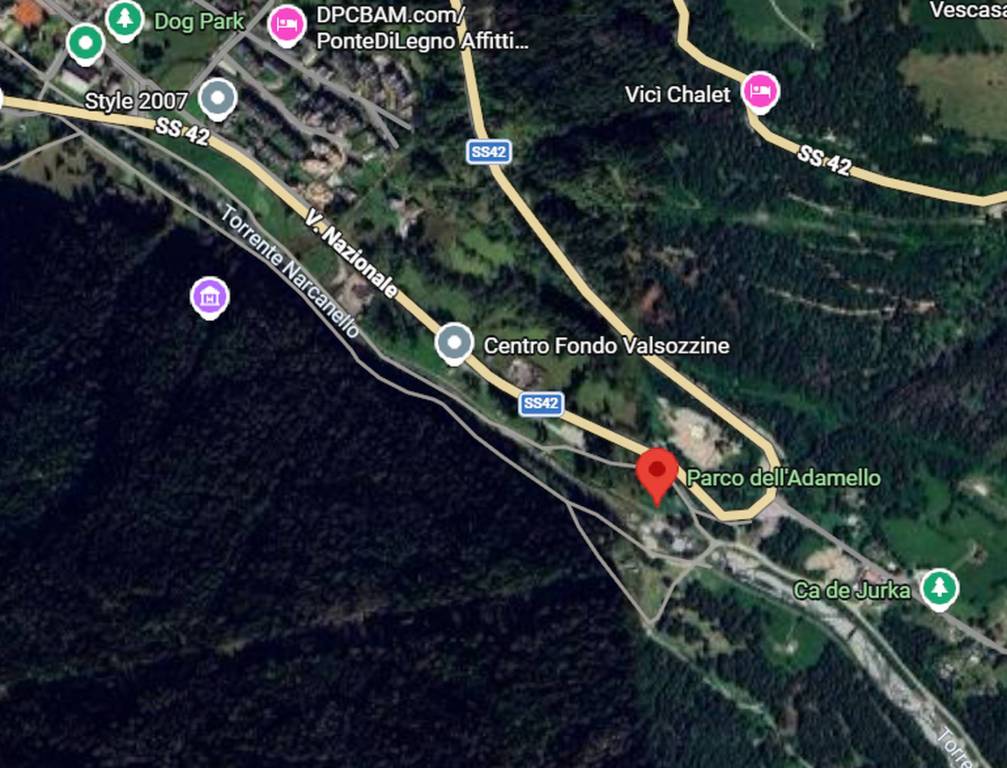 immagine annuncio 5 di 12