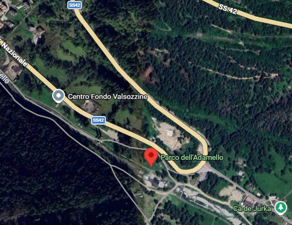 immagine annuncio 6 di 12