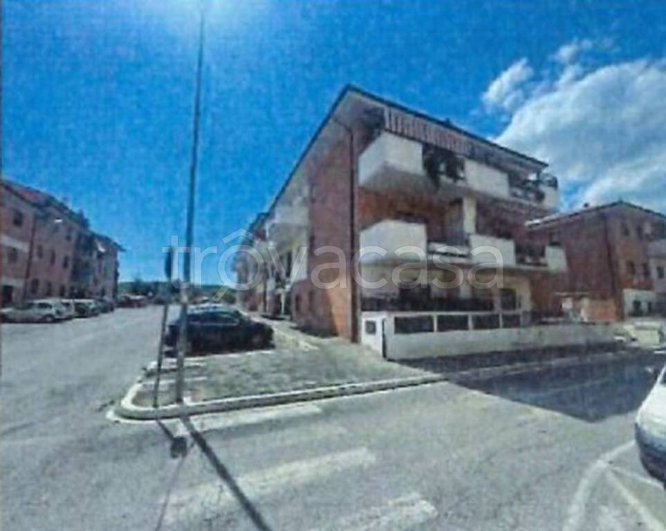 immagine annuncio 5 di 12