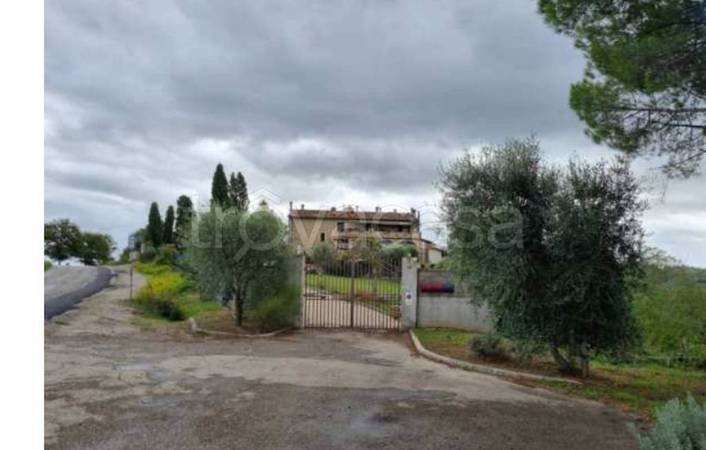 immagine annuncio 8 di 11