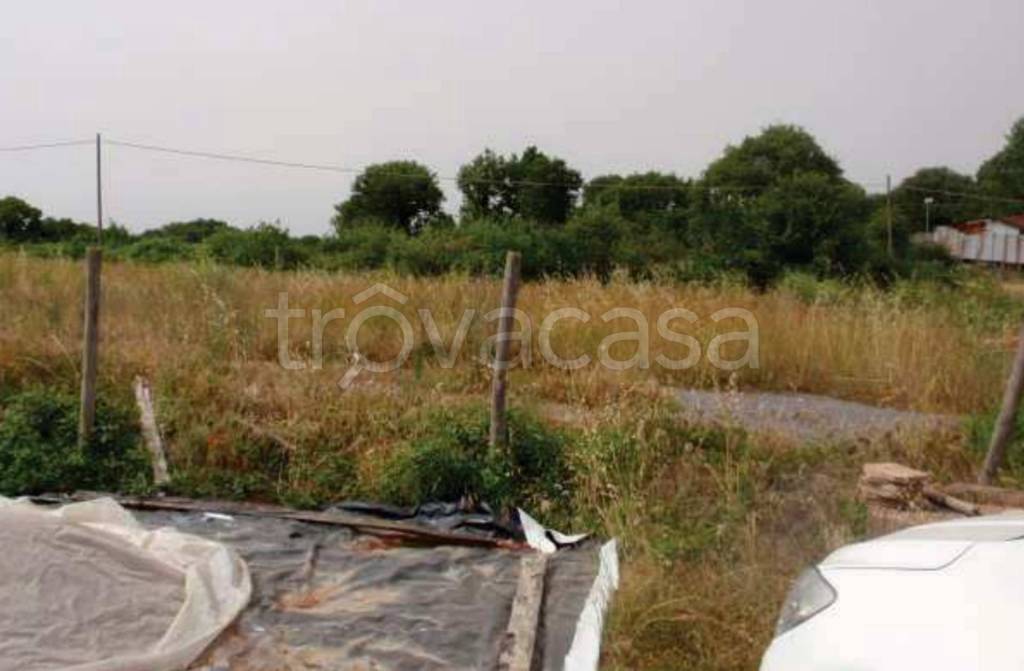 immagine annuncio 10 di 11