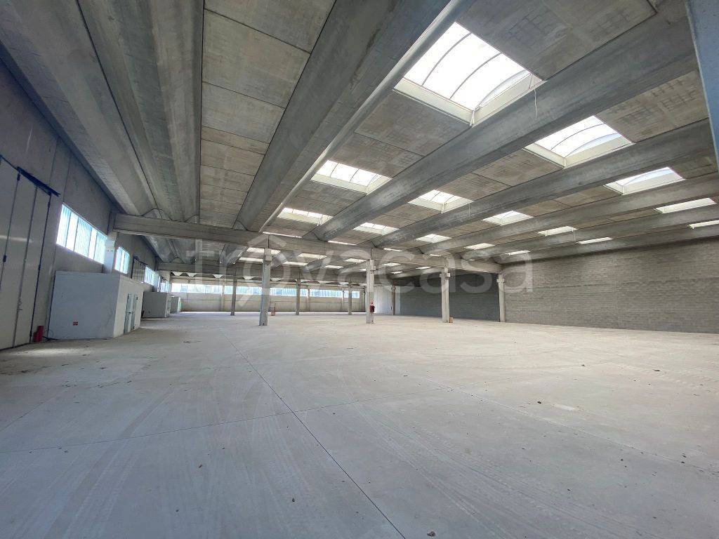 immagine annuncio 6 di 7