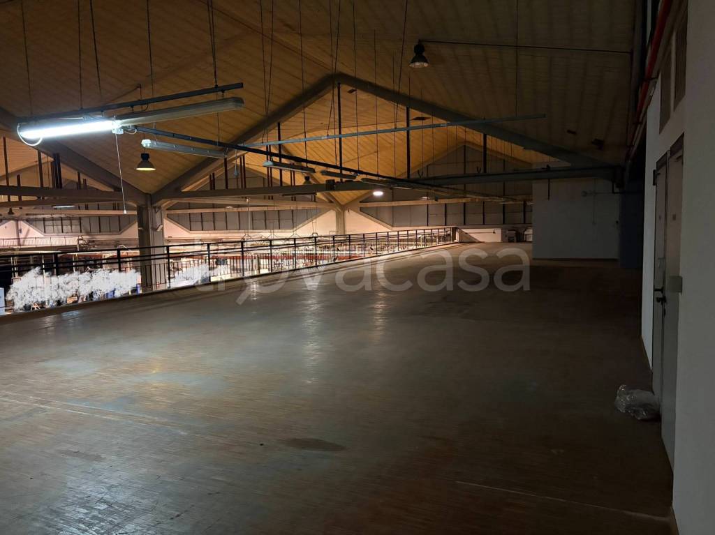 immagine annuncio 3 di 8