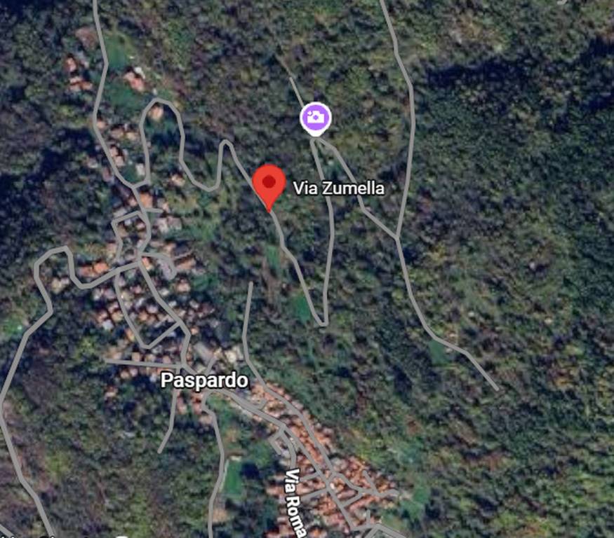 immagine annuncio 3 di 11