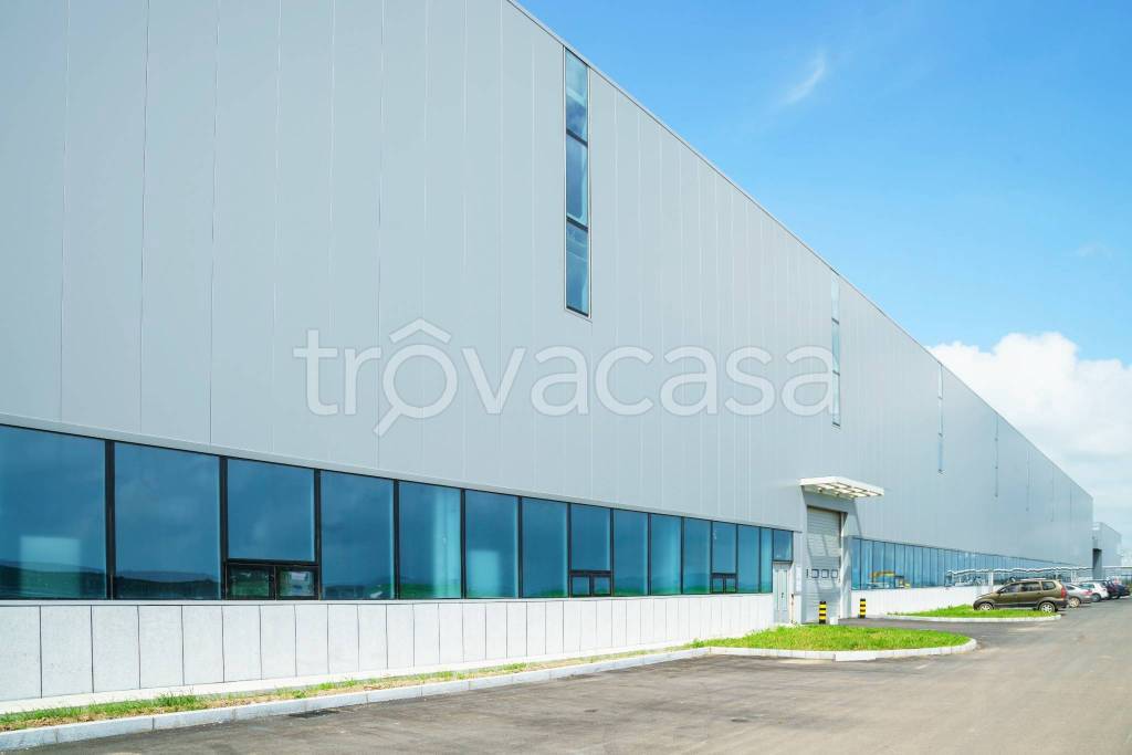 immagine annuncio 2 di 7