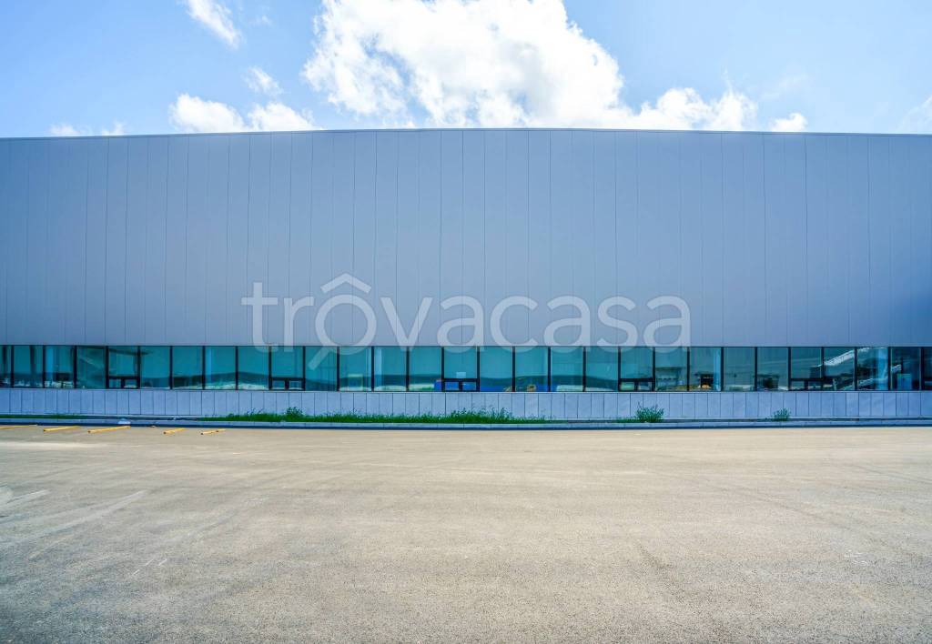 immagine annuncio 3 di 7