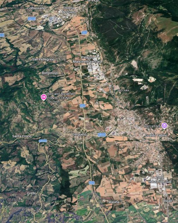 immagine annuncio 11 di 15