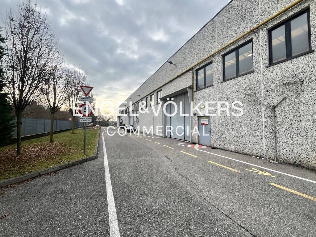 immagine annuncio 9 di 15