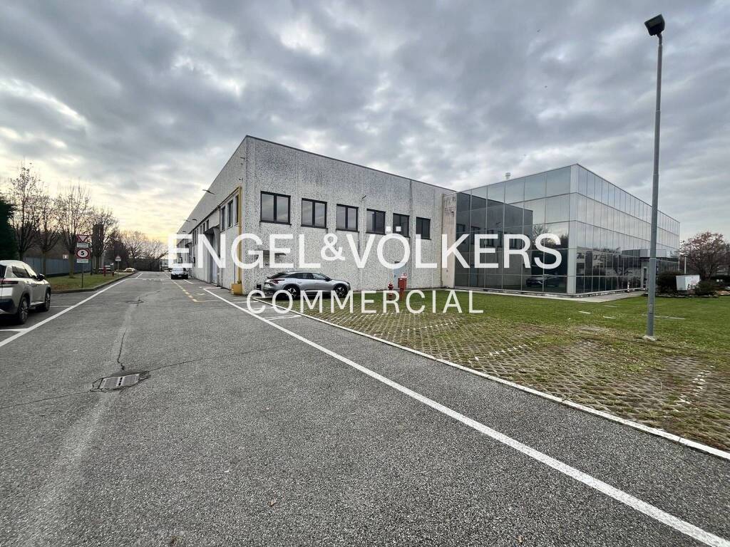 immagine annuncio 10 di 15