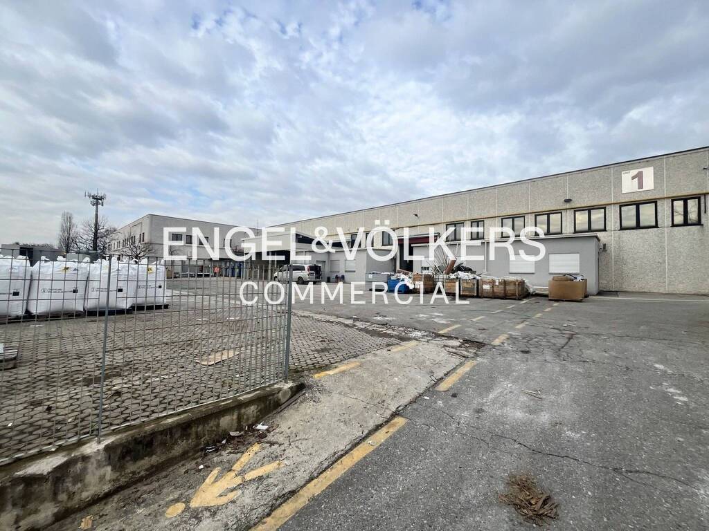 immagine annuncio 11 di 15