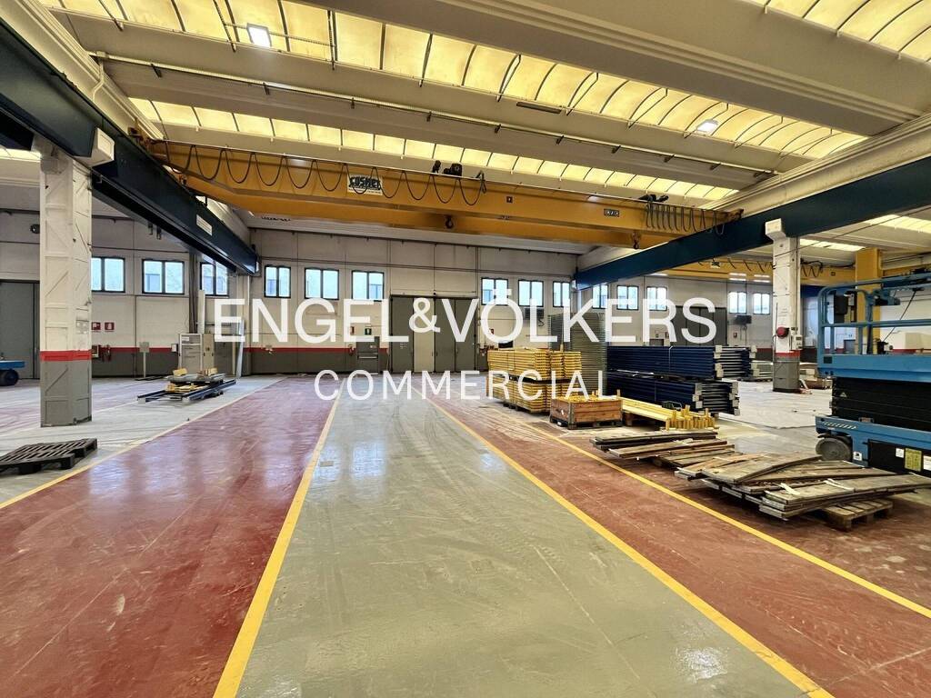 immagine annuncio 7 di 15