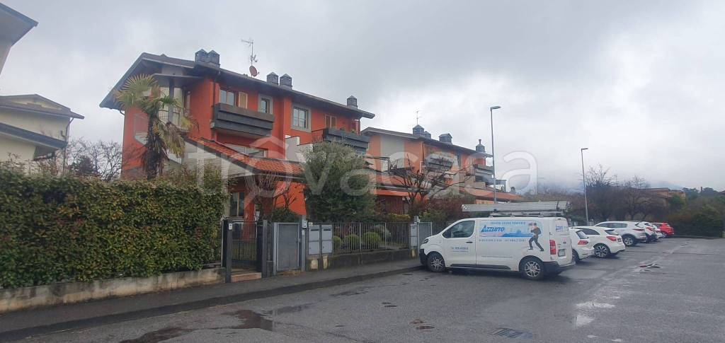 immagine annuncio 1 di 12